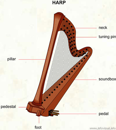 Harp  (Visual Dictionary)